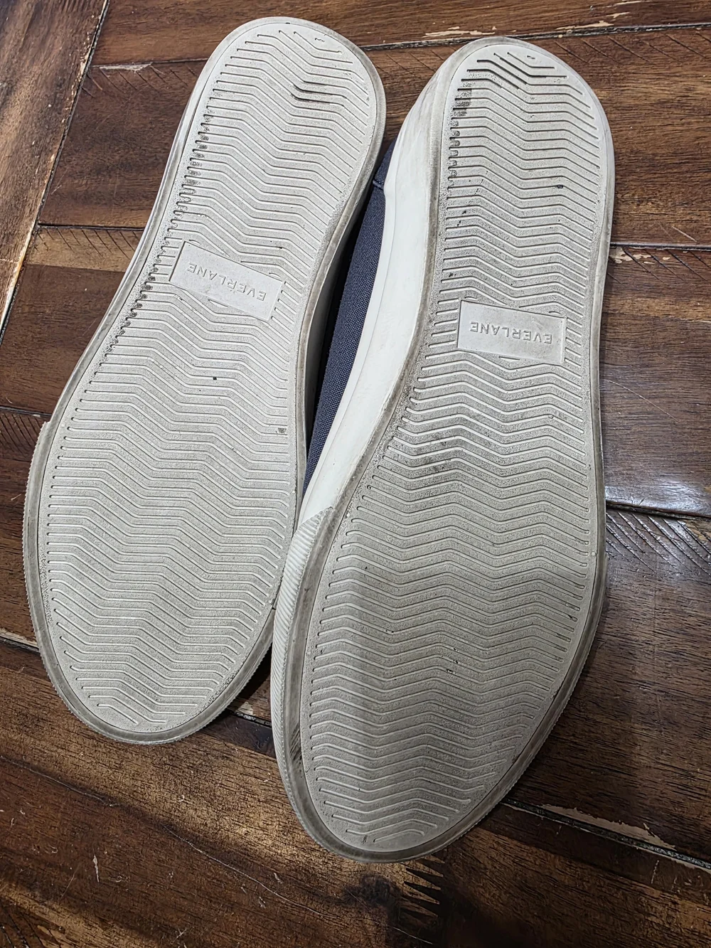 Tread sneaker by Everlane in navy/cream W10/M8